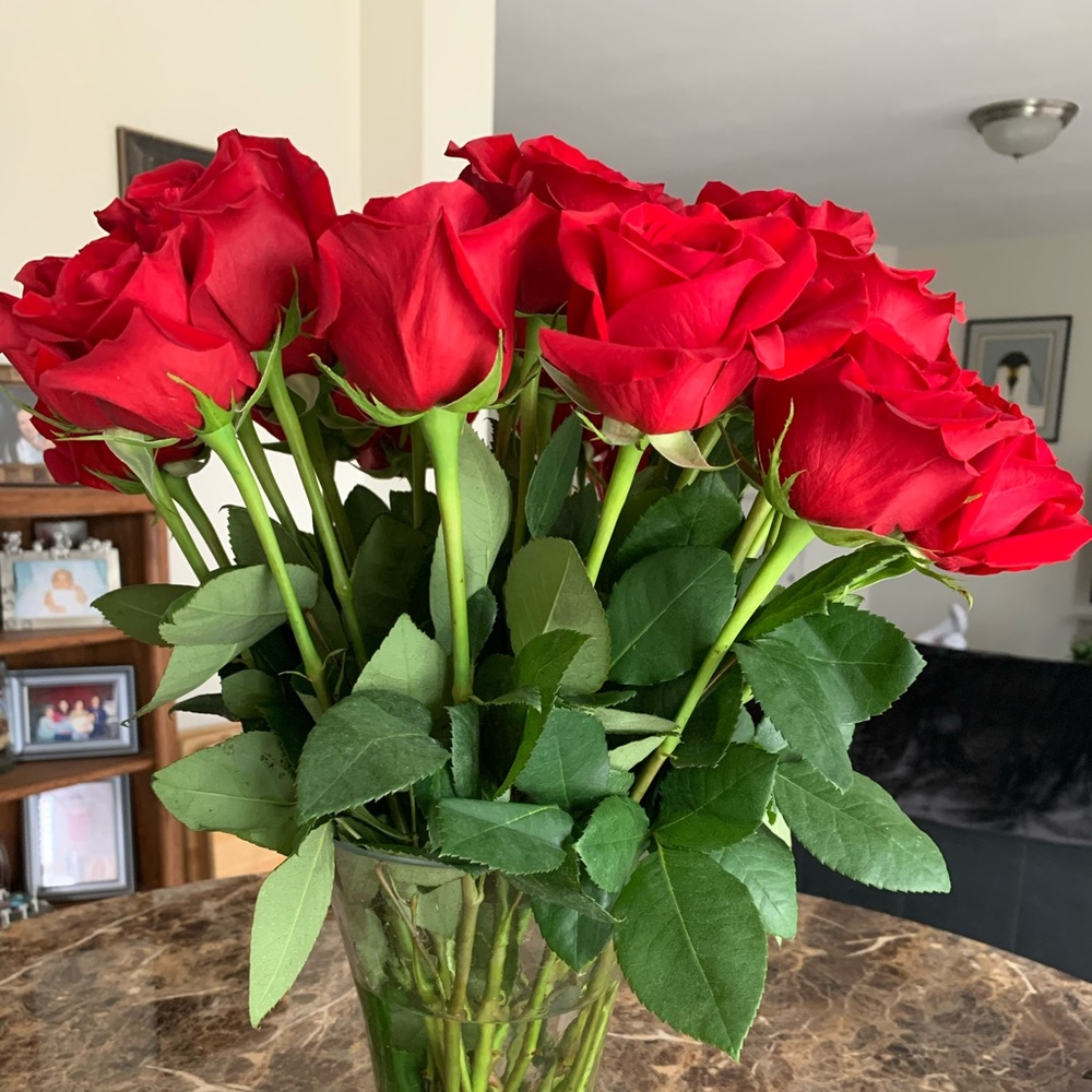 Meet your Posher, Anna